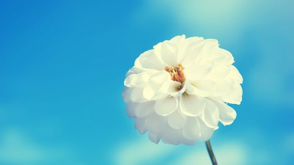 留学美国硕士申请要求