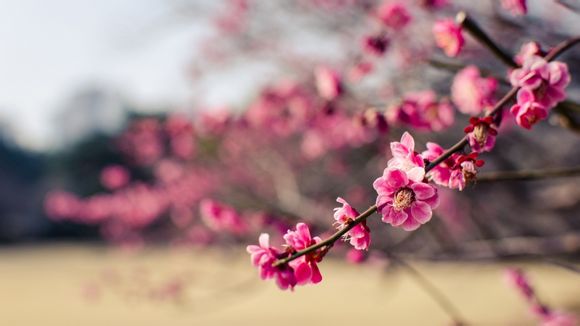澳洲留学挂科后果