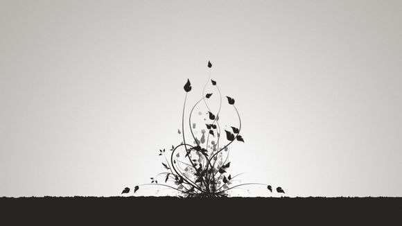 疫情过后澳洲留学生的生活
