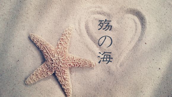 美国的绿卡可以加拿大留学吗