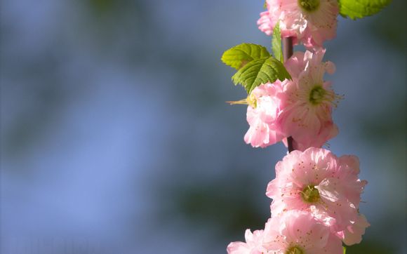 英国留学生的数据