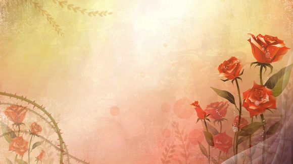 Lisa澳洲留学rose