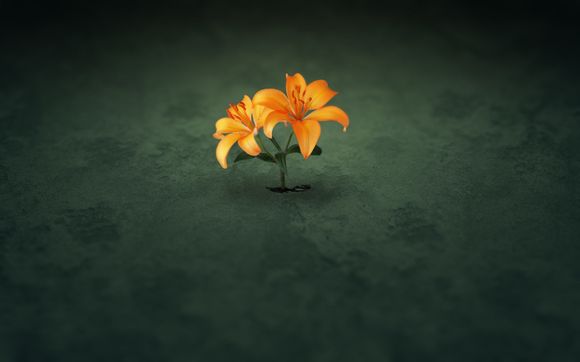 澳洲留学存款证明多少钱一份